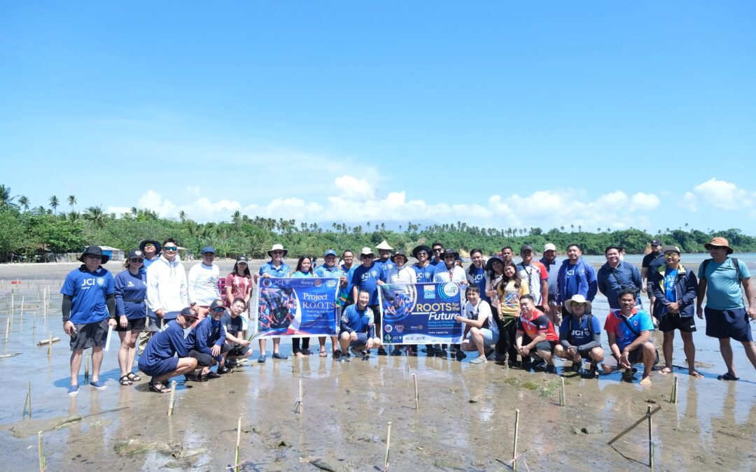 Saving Our Shores, One Mangrove at a Time
