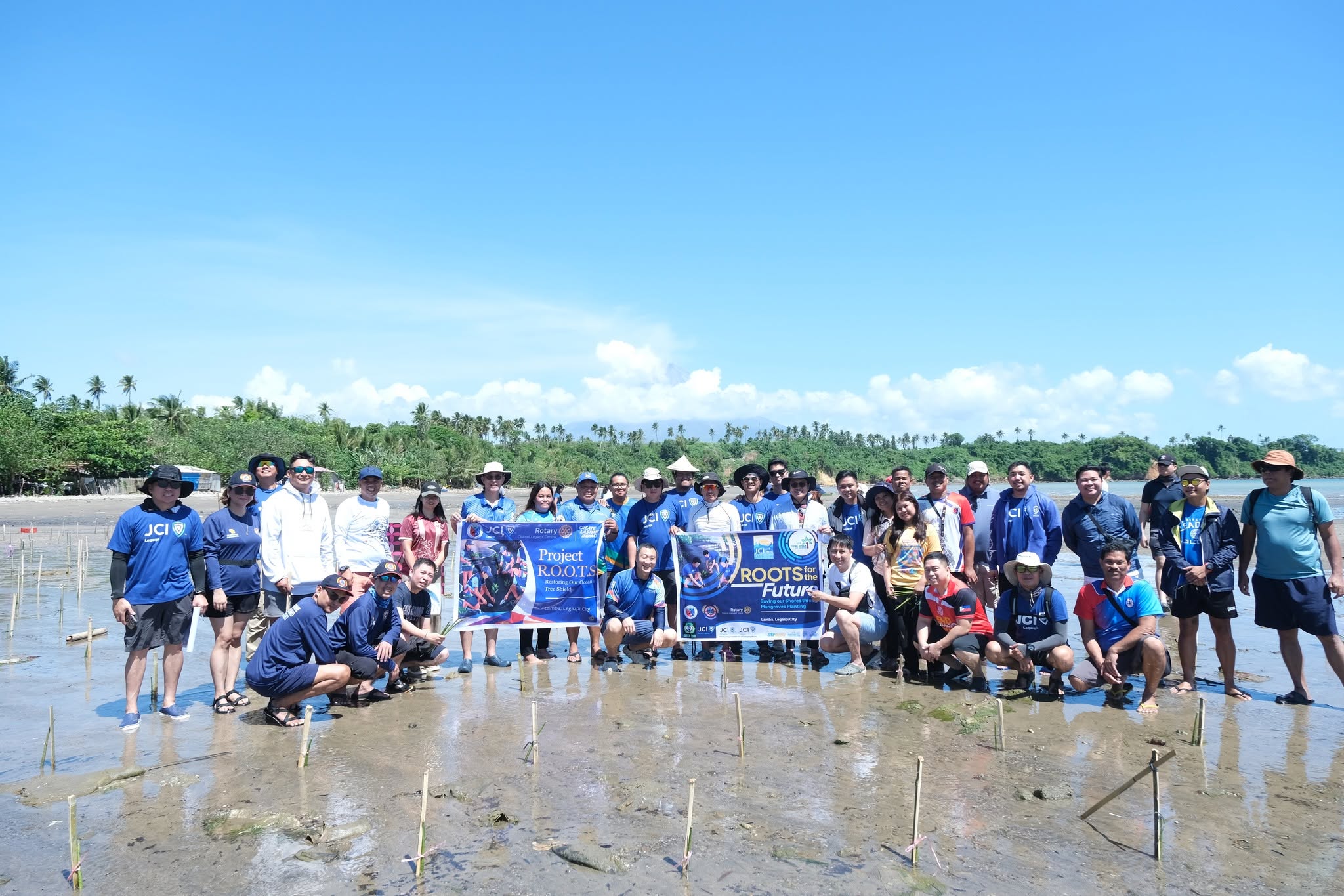 Saving Our Shores, One Mangrove at a Time